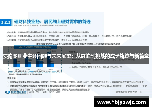 费南多职业生涯回顾与未来展望：从巅峰到挑战的成长轨迹与新篇章